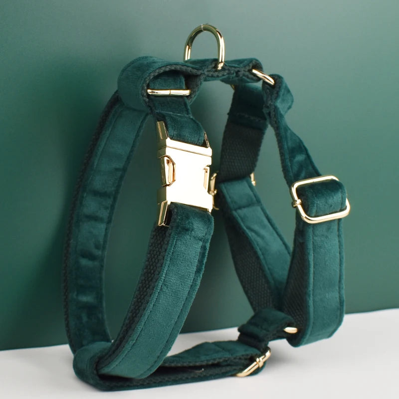 Green Velvet Personalized Dog Collar, Leash & Harness Set
