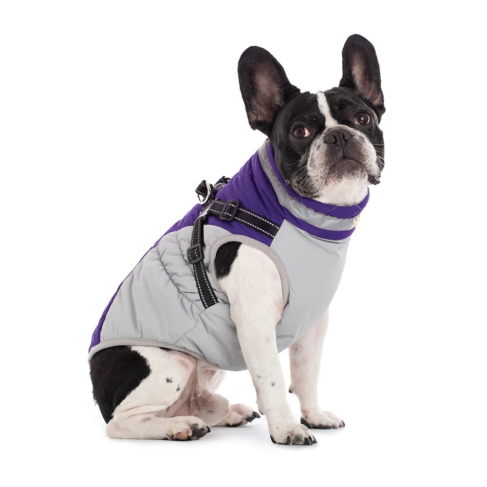 Waterproof Dog Jacket with Harness – Warm Winter Coat for Small to Large Dogs