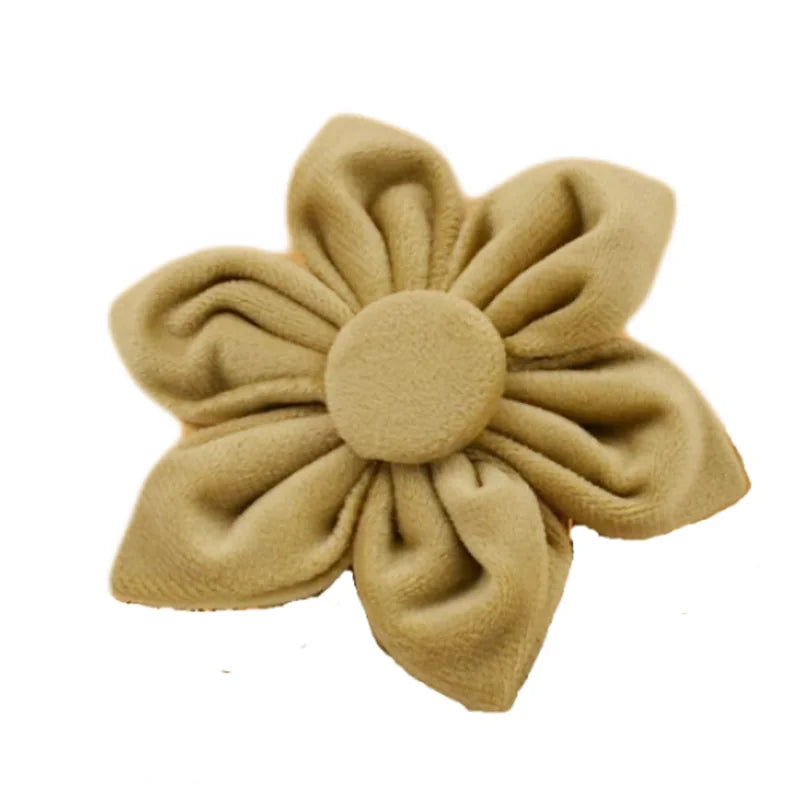 Nude Velvet Personalized Dog Collar, Leash & Harness Set