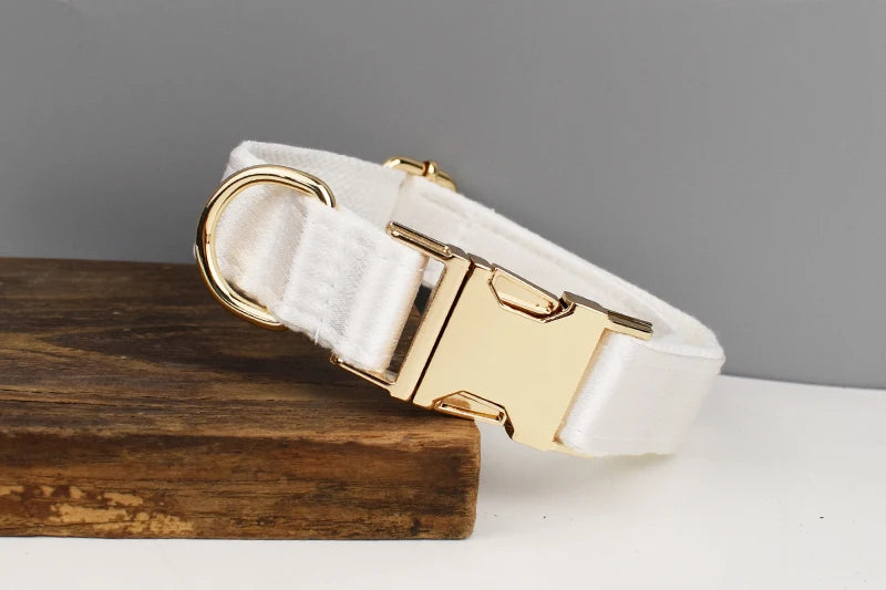 White Personalized Dog Collar, Leash & Harness Set