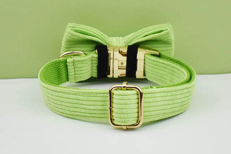 Apple Fruit Green Corduroy Personalized Dog Collar, Leash & Harness Set