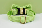 Apple Fruit Green Corduroy Personalized Dog Collar, Leash & Harness Set