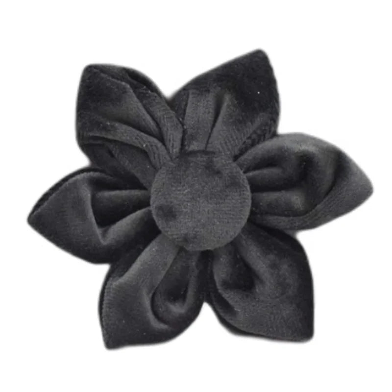 Black Velvet Personalized Dog Collar, Leash & Harness Set