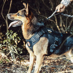 Tactical Dog Harness – Adjustable No-Pull Service Vest with Handle & Hook-and-Loop Panels