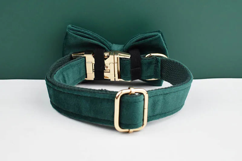 Green Velvet Personalized Dog Collar, Leash & Harness Set