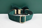 Green Velvet Personalized Dog Collar, Leash & Harness Set