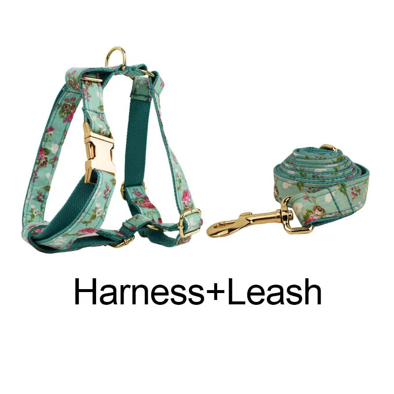 Personalized Dog Collar, Leash & Harness Set
