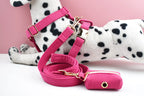 Mei Red Corduroy Personalized Dog Collar, Leash & Harness Set