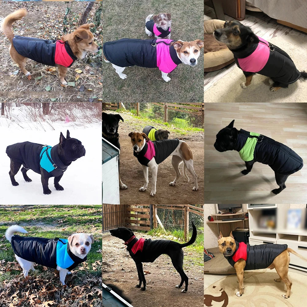 Waterproof Winter Dog Jacket with D-Ring – Windproof Warm Coat for Small to Large Dogs