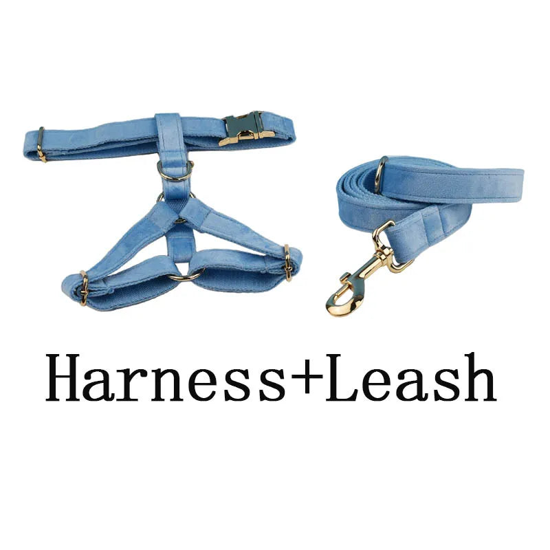Blue Velvet Personalized Dog Collar, Leash & Harness Set