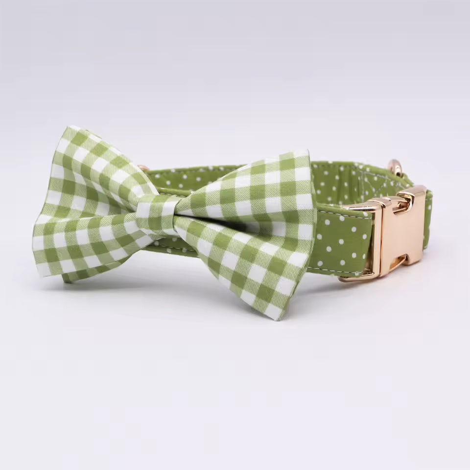 Green Polka Dot Floral Dog Collar and Leash Set