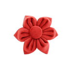 Cherry Red Velvet Set