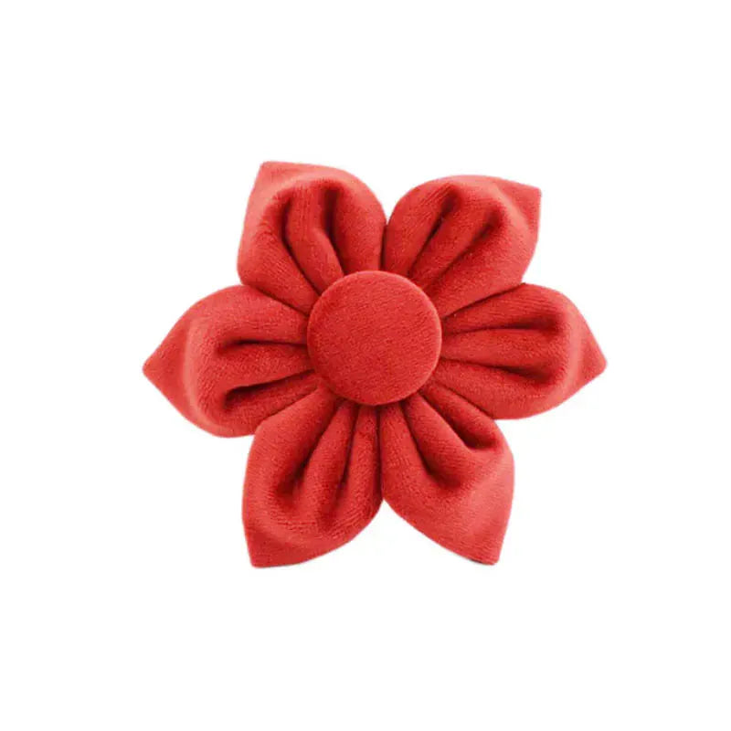 Cherry Red Velvet Set