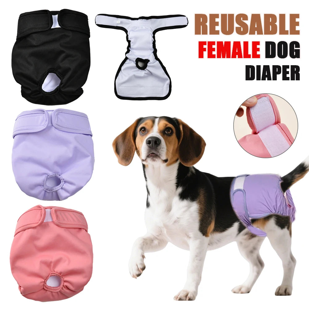Reusable Female Dog Diapers – Washable & Adjustable Pet Period Panties for All Sizes
