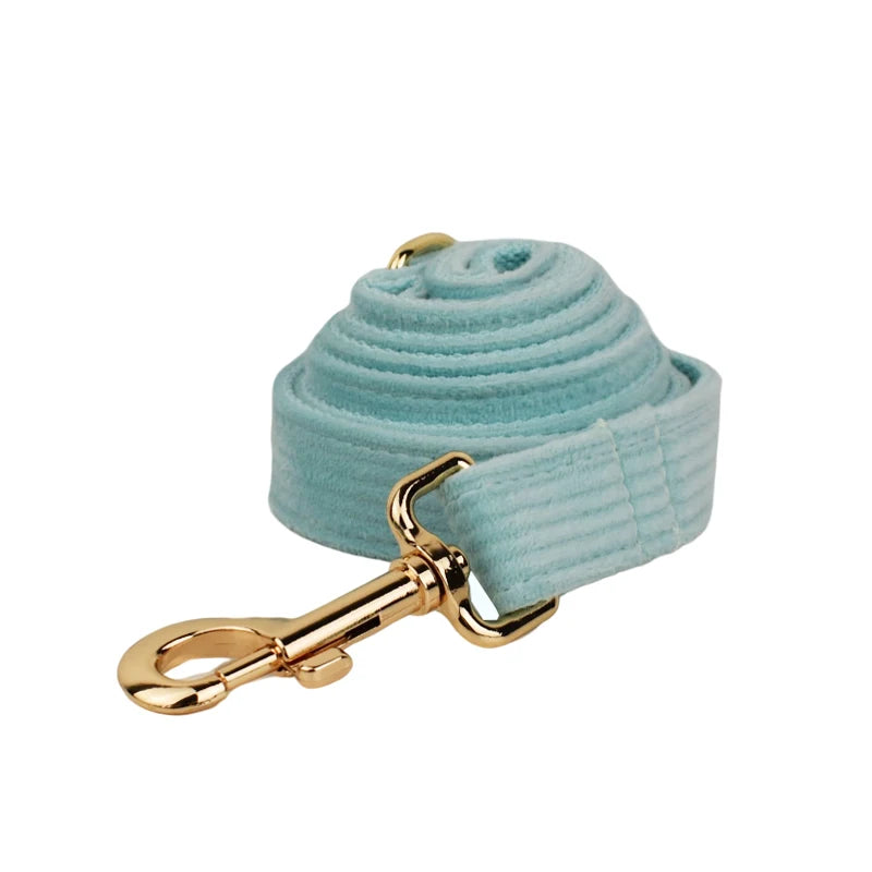 Lake Green Corduroy Personalized Dog Collar, Leash & Harness Set