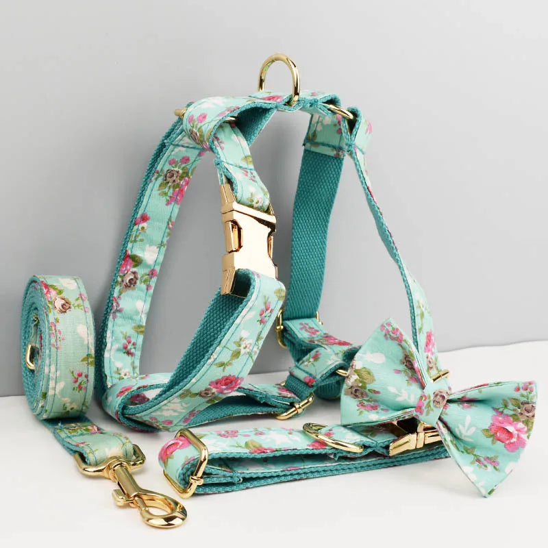 Personalized Dog Collar, Leash & Harness Set