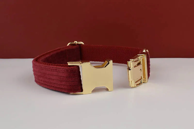 Personalized Dog Collar, Leash & Harness Set