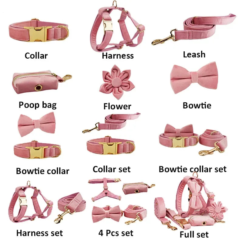 Summer Fruit Personalized Dog Bowtie Collar and Leash Set, Custom Laser Pet Necklace, Cute Pet Accessory