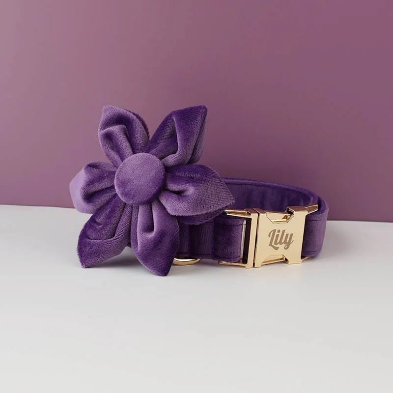 Purple Velvet Personalized Dog Collar, Leash & Harness Set