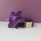 Purple Velvet Personalized Dog Collar, Leash & Harness Set