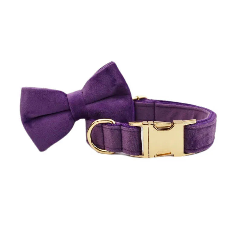 Purple Velvet Personalized Dog Collar, Leash & Harness Set