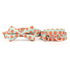 Peachy Keen Dog Collar and Leash Set