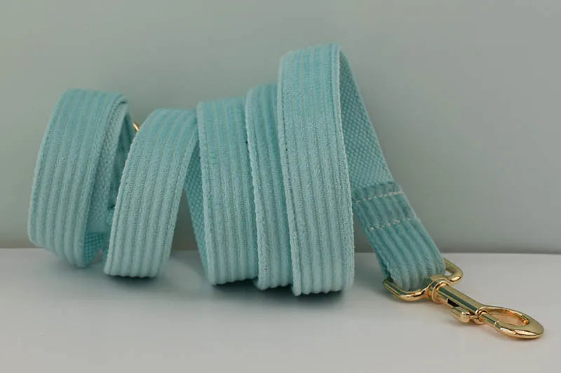 Lake Green Corduroy Personalized Dog Collar, Leash & Harness Set
