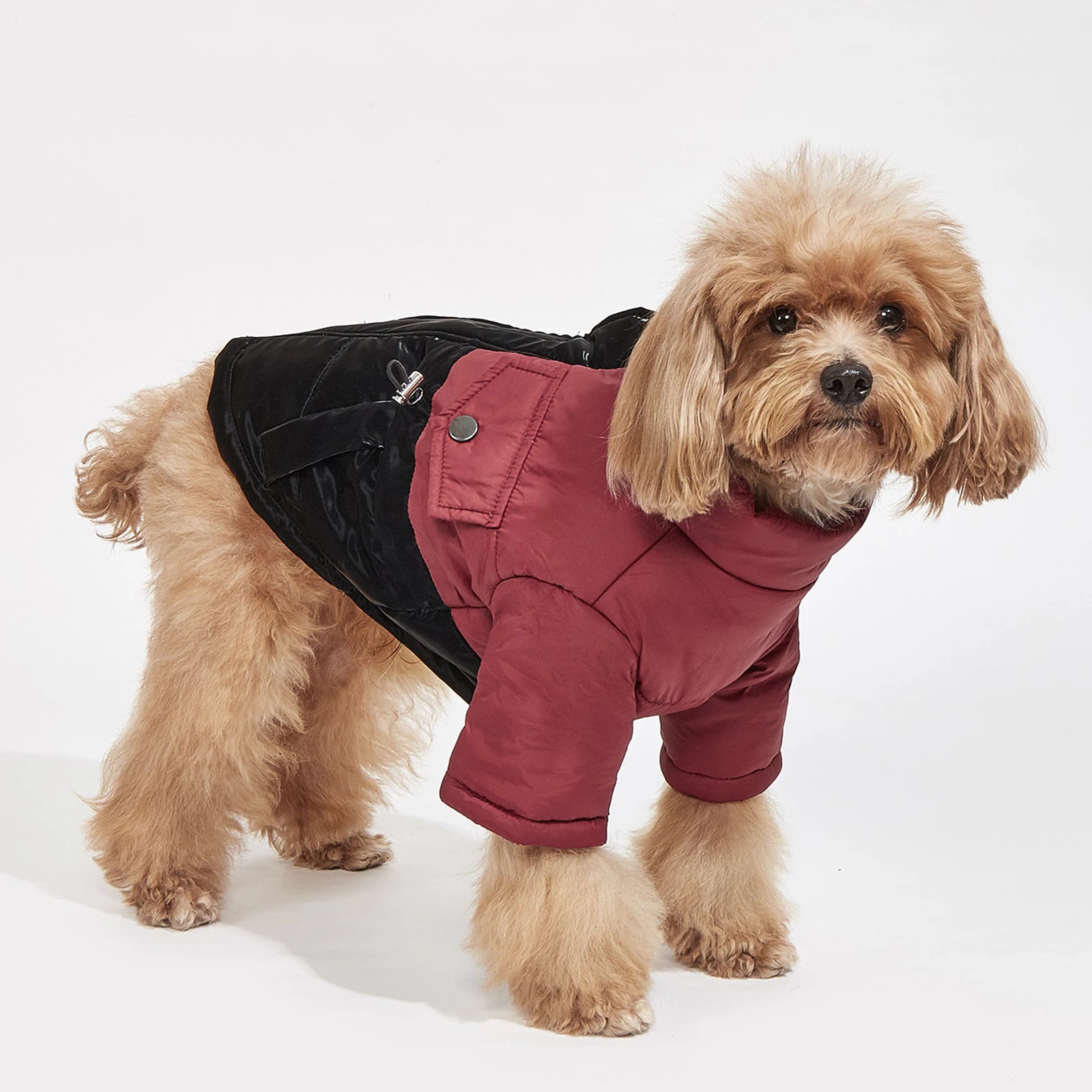 Winter Dog Jacket – Windproof, Cold-Resistant Coat for Small & Medium Dogs
