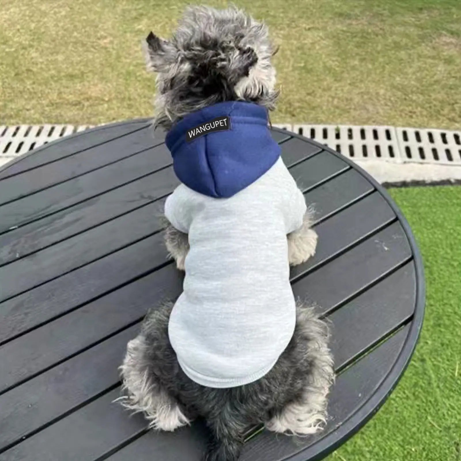 Winter Warm Dog Hoodie – Soft Polyester Pullover for Small & Medium Dogs