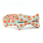 Peachy Keen Dog Collar and Leash Set