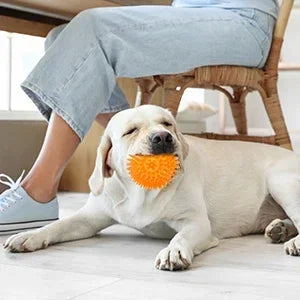 Squeaky Spiky Dog Ball – Durable Chew Toy for Teething Puppies & Aggressive Chewers
