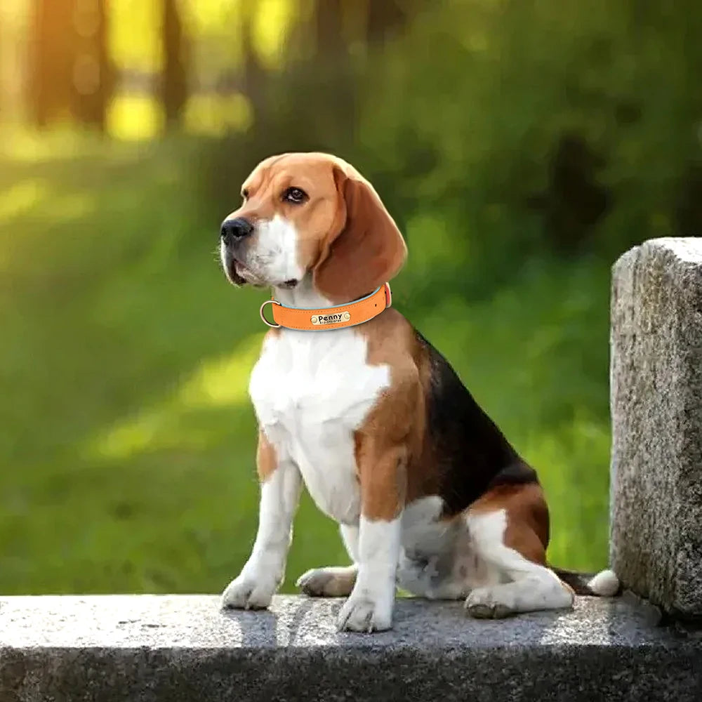 Personalized PU Leather Dog Collar – Soft Padded & Adjustable Custom ID Collar