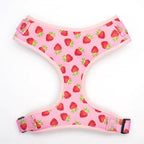 D&D Paws Harness Designed Straberry Dog Vest Set