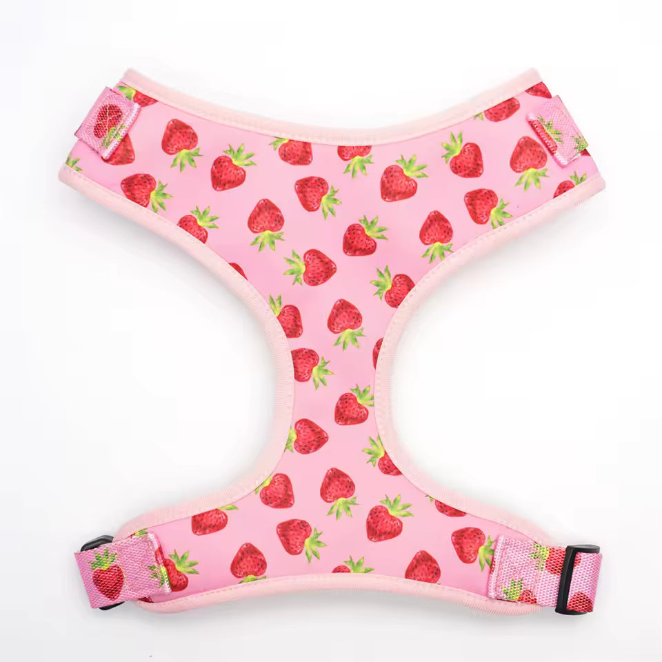 D&D Paws Harness Designed Straberry Dog Vest Set