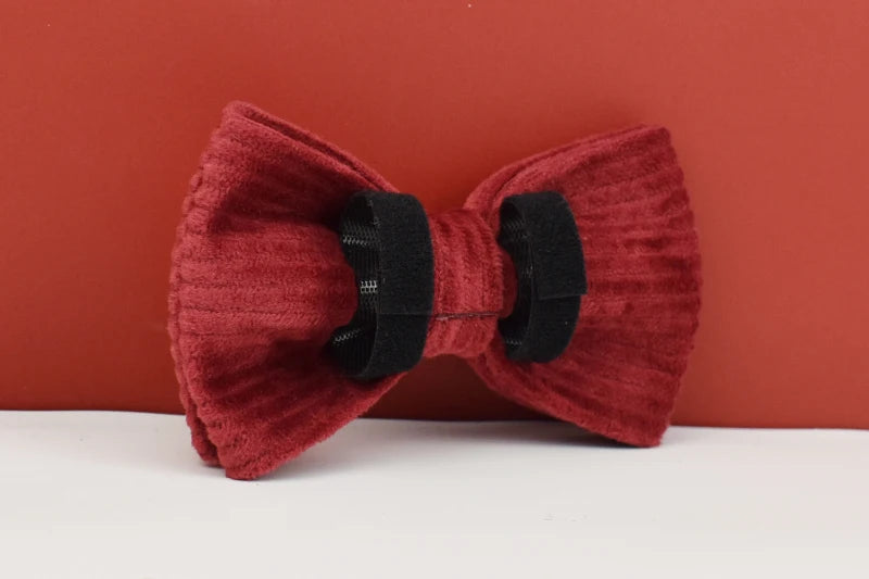 Personalized Dog Collar, Leash & Harness Set