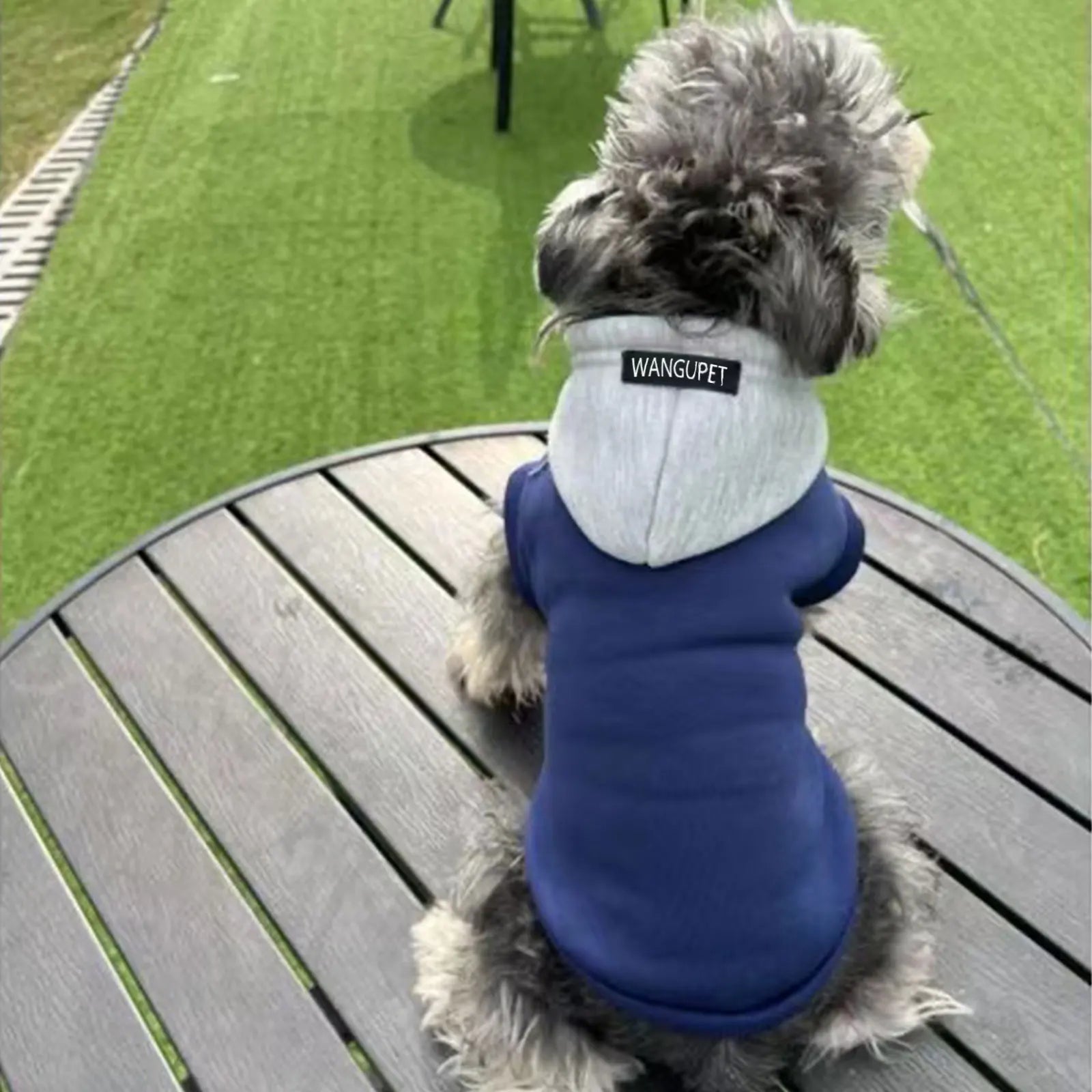 Winter Warm Dog Hoodie – Soft Polyester Pullover for Small & Medium Dogs