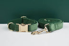 Forest Green Velvet Personalized Dog Collar, Leash & Harness Set