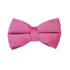 Rose Red Velvet Dog Collar Leash and Harness Set