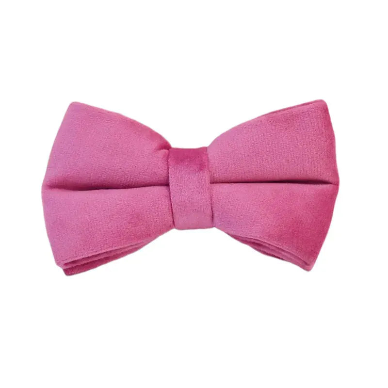 Rose Red Velvet Dog Collar Leash and Harness Set