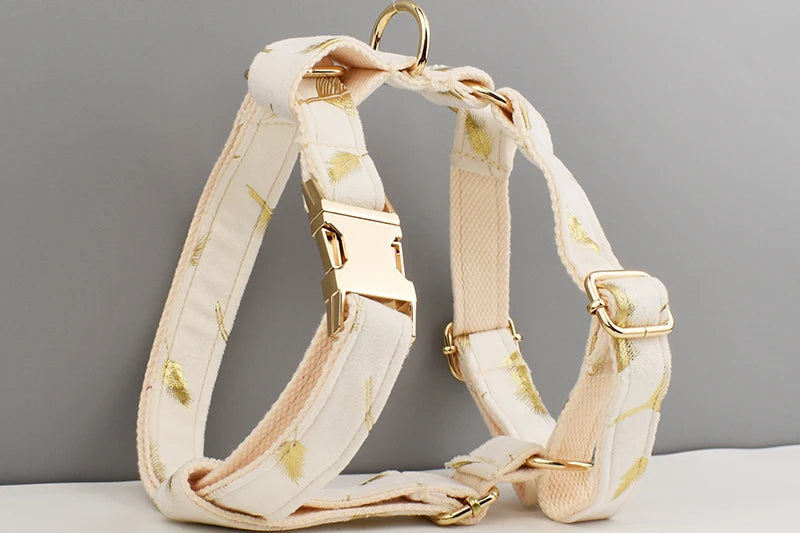 Personalized Dog Collar, Leash & Harness Set