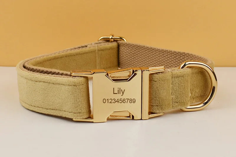 Nude Velvet Personalized Dog Collar, Leash & Harness Set