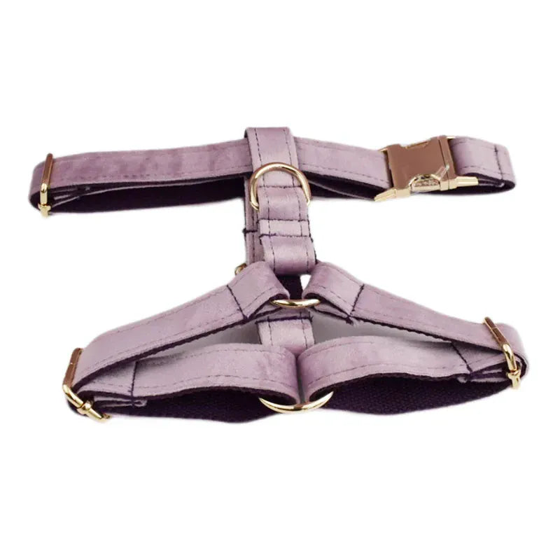 DDPaws  Harness / XS Deep Purple Velvet Set