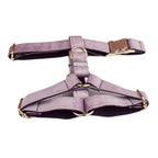 DDPaws  Harness / XS Deep Purple Velvet Set