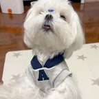 Winter Warm Dog Hoodie – Soft Polyester Pullover for Small & Medium Dogs