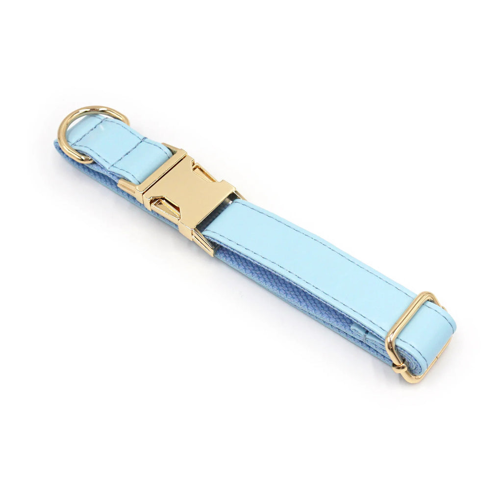 Customized Colorfule Waterproof Pet Collars PU Leather Dog Adjustable Puppy Dog Necklace Durable Pet Leads Accessory