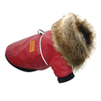 Cool Dog Leather Jacket – Warm Waterproof Winter Coat for Small & Medium Dogs
