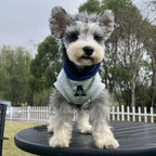 Winter Warm Dog Hoodie – Soft Polyester Pullover for Small & Medium Dogs