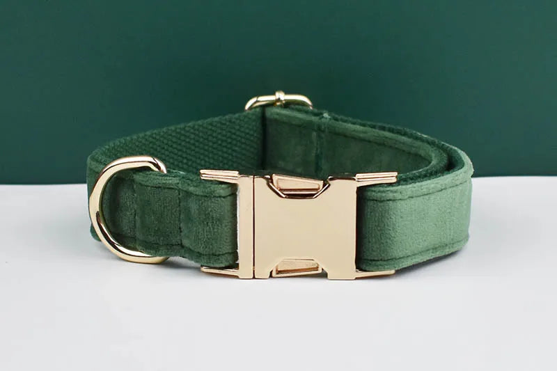 Forest Green Velvet Personalized Dog Collar, Leash & Harness Set