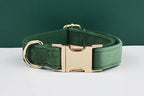 Forest Green Velvet Personalized Dog Collar, Leash & Harness Set