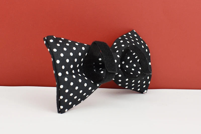 Personalized Dog Collar, Leash & Harness Set